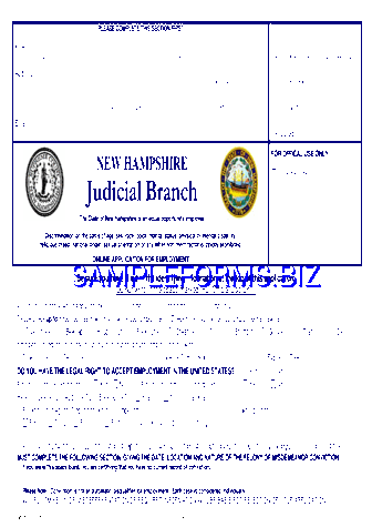 New Hampshire Judicial Branch Application for Employment pdf free